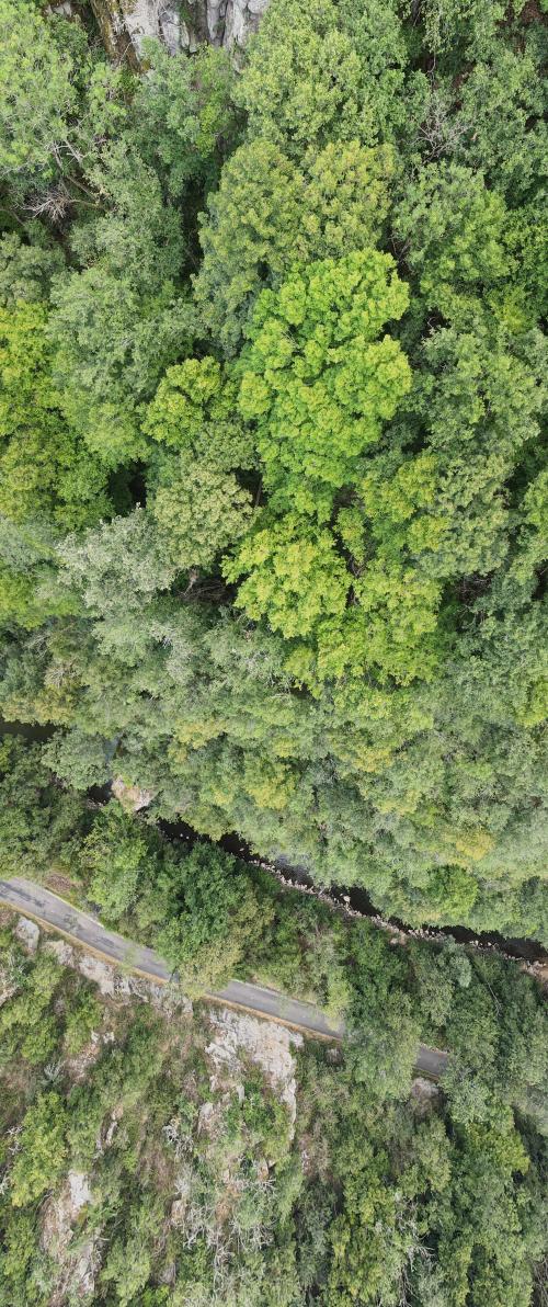 Les gardiens des gorges de la Sioule [30-07-2022](1126).jpg